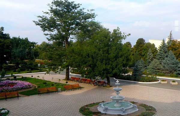 отдых в саках